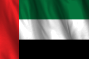 UAE flag